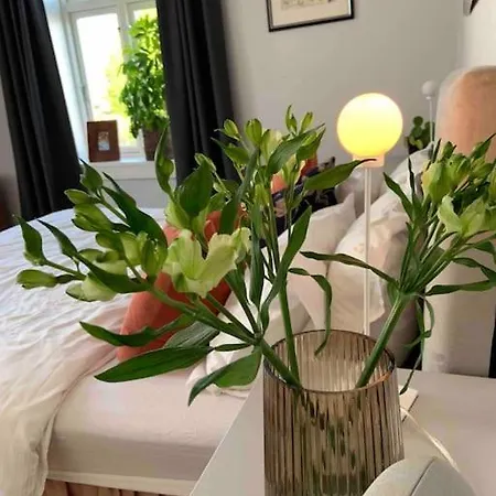 Big 10 Min Walk From Citycenter-swimmingpool Villa